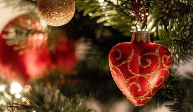 Close up image of Christmas tree with red, heart-shaped ornament in foreground