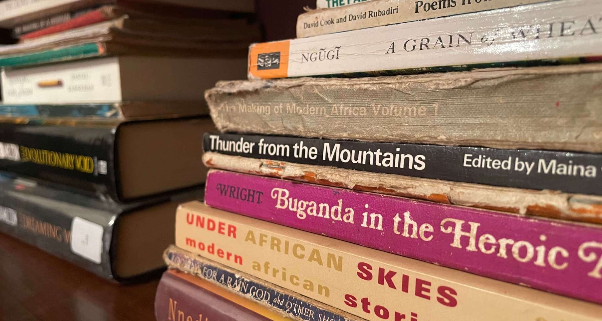 Why You Should be Reading African Fiction