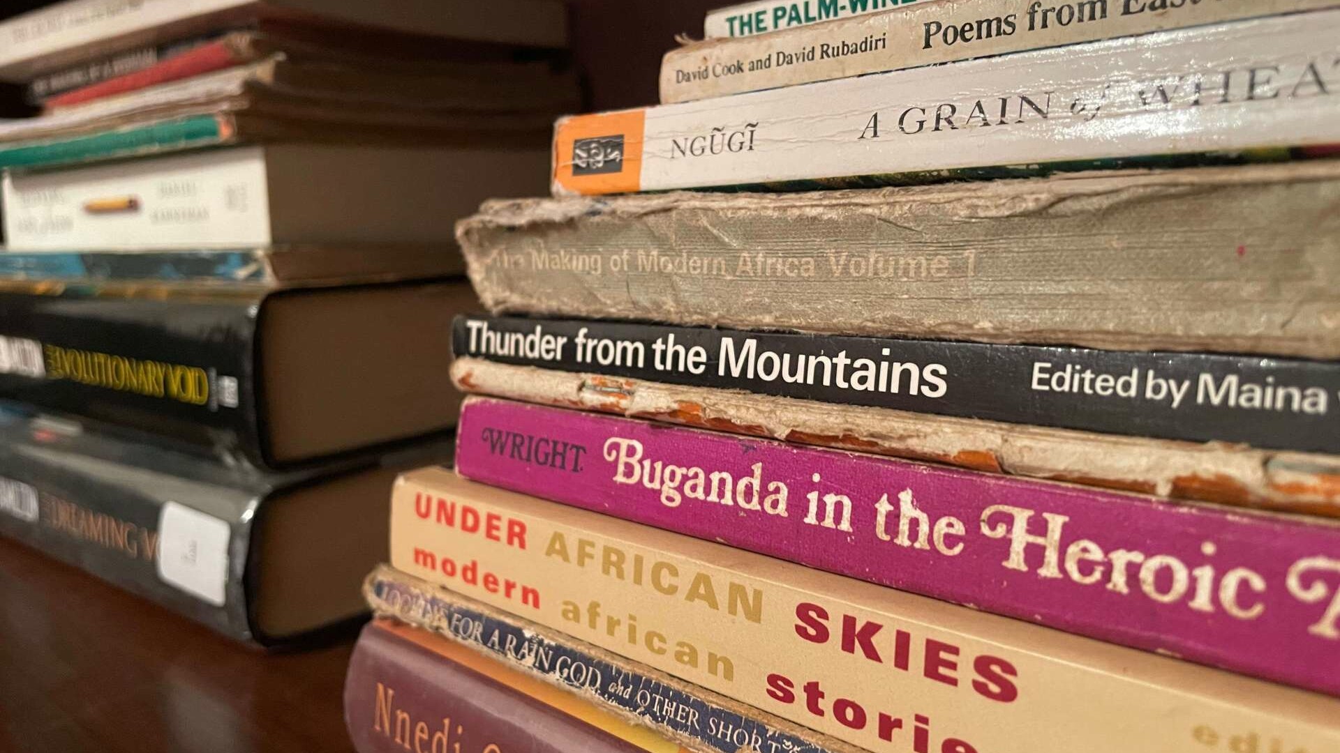 Why You Should be Reading African Fiction