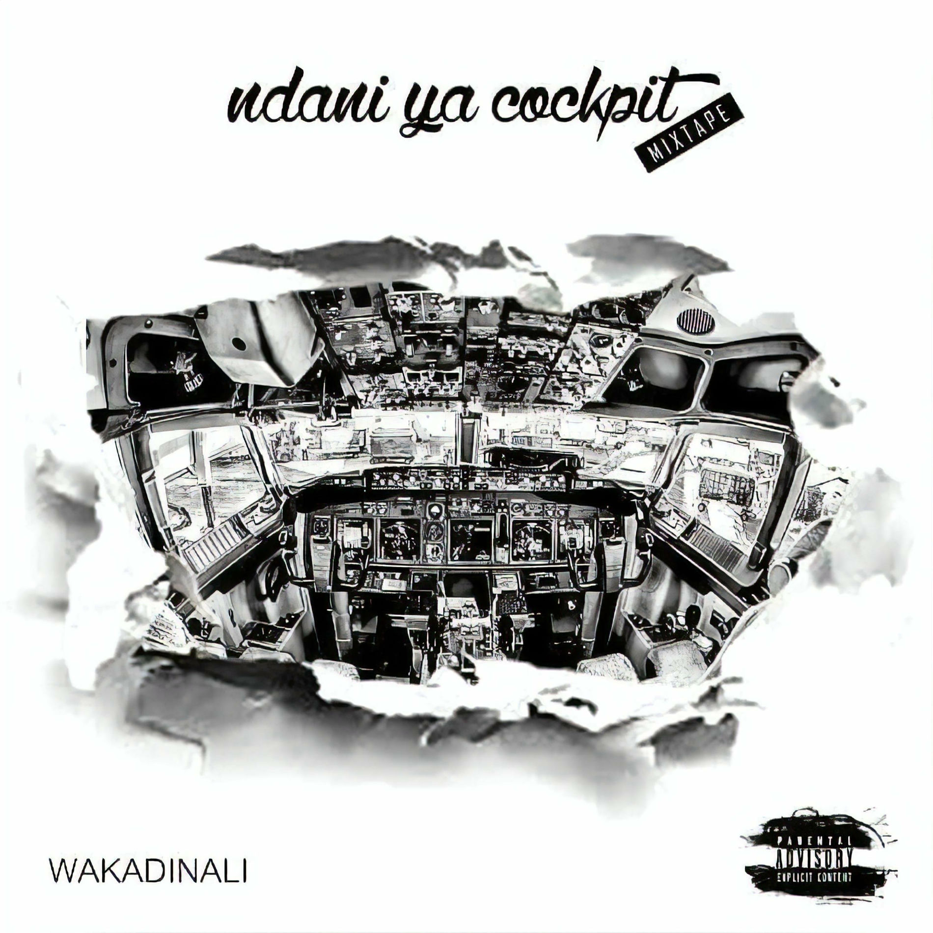 Ndani Ya Cockpit (2021)